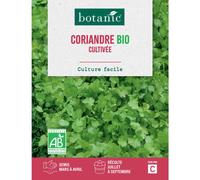 BOTANIC®-Graines de coriandre cultivée bio botanic - graines à semer