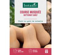 BOTANIC®-Graines de courge early butternut botanic - graines à semer