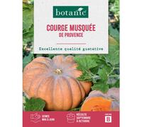 BOTANIC®-Graines de courge musquée de Provence botanic - graines à semer