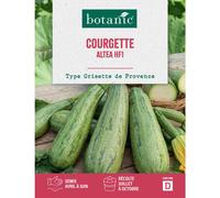 BOTANIC®-Graines de courgette Altea HF1 botanic - graines à semer