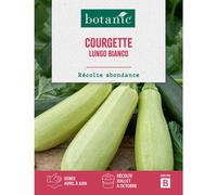 BOTANIC®-Graines de courgette blanche de Sicile botanic - graines à semer