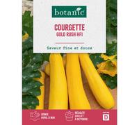 BOTANIC®-Graines de courgette gold rush HF1 - graines à semer