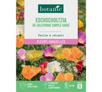 BOTANIC®-Graines de Eschscholzia de californie simple varié botanic - graines à semer