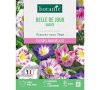 BOTANIC®-Graines de fleurs Belle de jour variée botanic