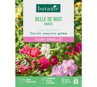 BOTANIC®-Graines de fleurs Belle de nuit variée botanic