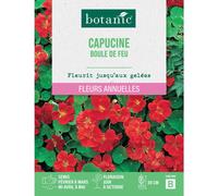 BOTANIC®-Graines de fleurs Capucine boule de feu botanic