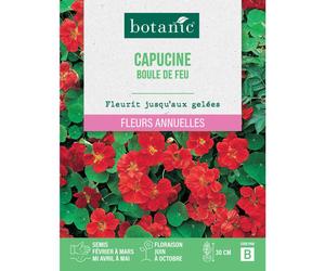 BOTANIC®-Graines de fleurs Capucine boule de feu botanic