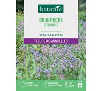 BOTANIC®-Graines de fleurs de Bourrache officinale botanic