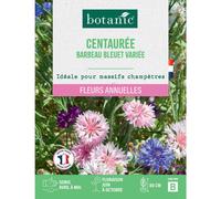BOTANIC®-Graines de fleurs de Centauree barbeau bleuet variée botanic