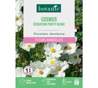 BOTANIC®-Graines de fleurs de Cosmos sensation purity blanc botanic