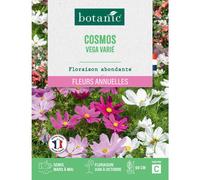 BOTANIC®-Graines de fleurs de Cosmos vega varié botanic