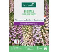 BOTANIC®-Graines de fleurs de Digitale excelsior variée botanic