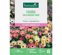 BOTANIC®-Graines de fleurs de Ficoïde tapis magique varié botanic