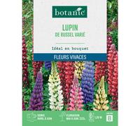 BOTANIC®-Graines de fleurs de Lupin de Russel varié botanic