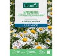 BOTANIC®-Graines de fleurs de Marguerite petite princesse naine blanche botanic