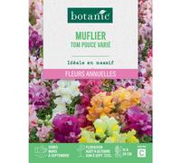 BOTANIC®-Graines de fleurs de Muflier Tom pouce varié botanic