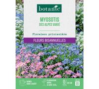 BOTANIC®-Graines de fleurs de Myosotis des Alpes varié botanic