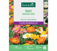 BOTANIC®-Graines de fleurs de Pavot nudicaule ou Pavot d'Islande varié botanic