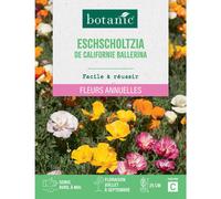 BOTANIC®-Graines de fleurs de Pavot ou Eschscholtzia de Californie Ballerina botanic