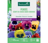 BOTANIC®-Graines de fleurs de Pensée géante de Suisse variée surchoix botanic
