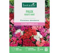 BOTANIC®-Graines de fleurs de Phlox beauté varié botanic