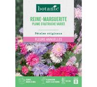 BOTANIC®-Graines de fleurs de Reinemarguerite plume d'autruche ou Aster de Chine variée botanic