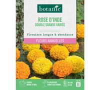 BOTANIC®-Graines de fleurs de Rose d'inde double grande variée botanic