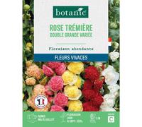 BOTANIC®-Graines de fleurs de Rose trémière double grande variée botanic