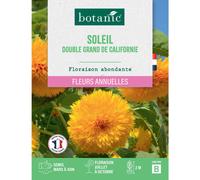 BOTANIC®-Graines de fleurs de Soleil double grand de californie botanic