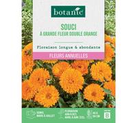 BOTANIC®-Graines de fleurs de Souci à grande fleur double orange botanic