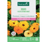 BOTANIC®-Graines de fleurs de Souci fiesta gitana varié botanic