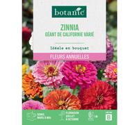 BOTANIC®-Graines de fleurs de Zinnia géant de californie varié botanic