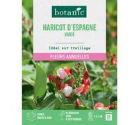 BOTANIC®-Graines de fleurs d'Haricot d'Espagne varié botanic