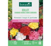 BOTANIC®-Graines de fleurs d'Œillet chabaud double varié surchoix botanic