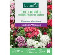 BOTANIC®-Graines de fleurs d'Œillet de poète étournelle simple en mélange botanic