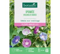 BOTANIC®-Graines de fleurs d'Ipomée volubilis variée botanic