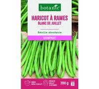 BOTANIC®-Graines de haricot à rames blanc de Juillet mangetout botanic - graines à semer 200 g