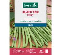 BOTANIC®-Graines de haricot nain delinel extra-fin sans fil botanic - 80 graines à semer