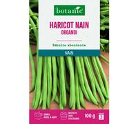 BOTANIC®-Graines de haricot nain organdi extra-fin sans fil botanic - graines à semer 100 g
