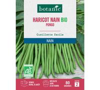 BOTANIC®-Graines de haricot nain pongo extra-fin sans fil bio botanic - graines à semer