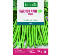 BOTANIC®-Graines de haricot nain pongo extra-fin sans fil botanic - graines à semer