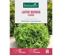 BOTANIC®-Graines de laitue batavia florine botanic - graines à semer