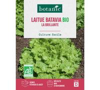 BOTANIC®-Graines de laitue batavia la brillante bio botanic - graines batavia semer