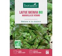 BOTANIC®-Graines de laitue batavia merveille de Vérone bio botanic - graines à semer