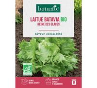 BOTANIC®-Graines de laitue batavia reine des glaces bio botanic - graines batavia semer