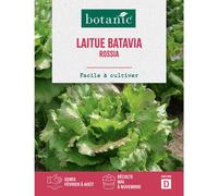 BOTANIC®-Graines de laitue batavia rossia botanic - graines batavia semer