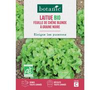 BOTANIC®-Graines de laitue feuille de chêne blonde à graine noire bio botanic - graines feuille semer