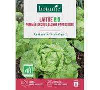 BOTANIC®-Graines de laitue grosse blonde paresseuse bio botanic - graines à semer