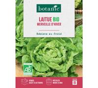 BOTANIC®-Graines de laitue merveille d’hiver botanic - graines à semer