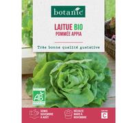 BOTANIC®-Graines de laitue pommée appia bio botanic - graines pommée semer